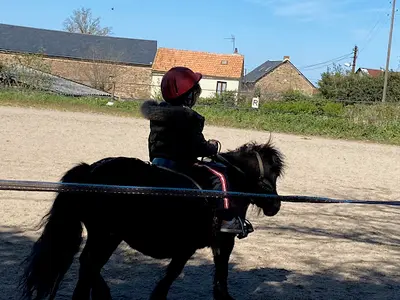 Segala Levezou Equitation