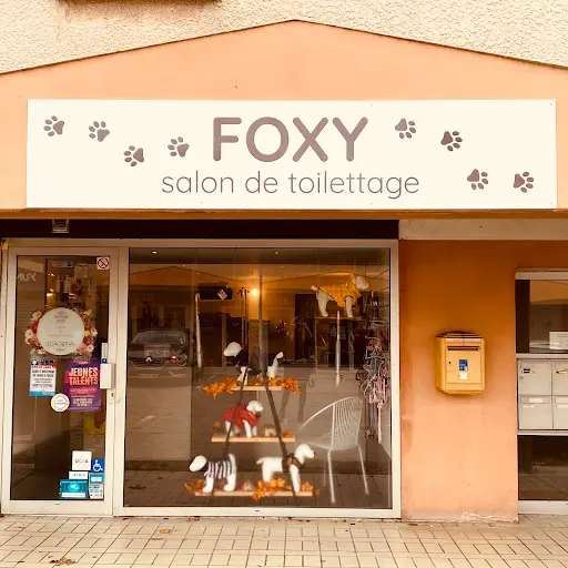 Foxy