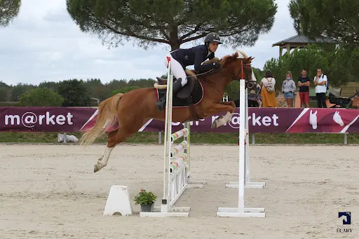 Poney Club Centre Equestre Revel-st Ferreol