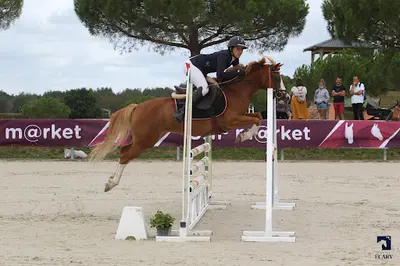 Poney Club Centre Equestre Revel-st Ferreol
