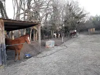 Tous en Selle, Centre Équestre Rians, Var