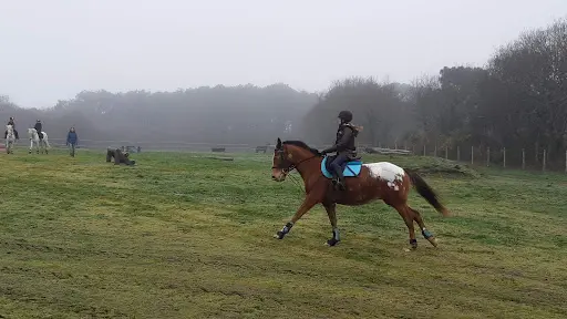 Centre Hippique Brambis