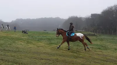 Centre Hippique Brambis
