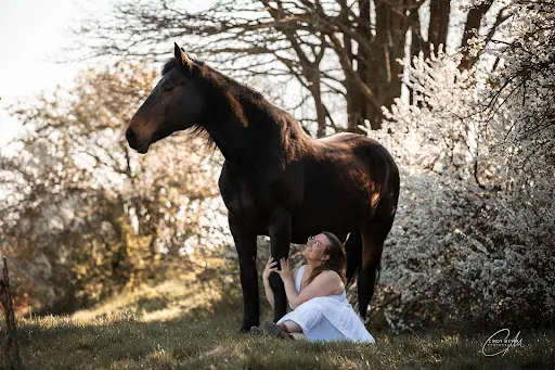 En Corps À Cheval - Médiations Équines