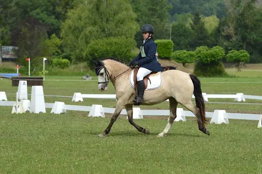Centre Equestre du Volvestre