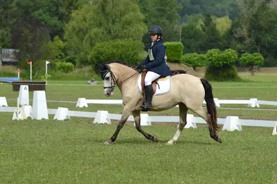 Centre Equestre du Volvestre