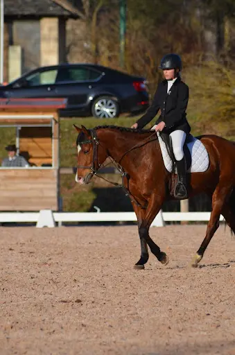 Club Equestre le Diplodocus