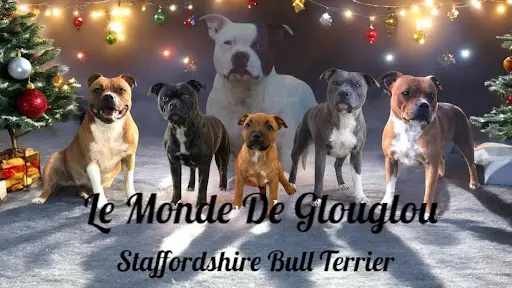 Le Monde de Glouglou
