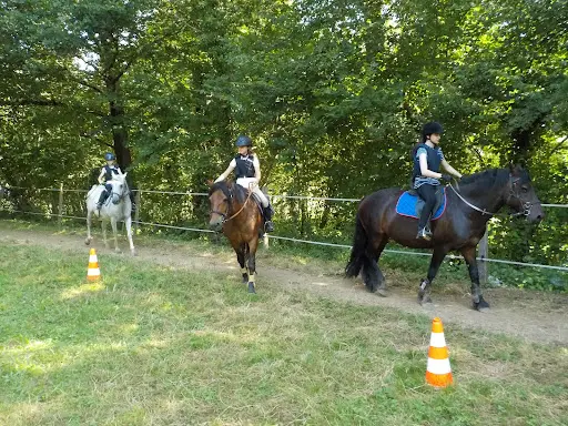 Association Equi Libre
