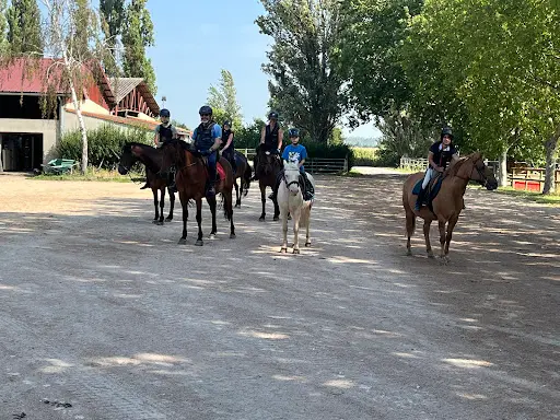 Site Equestre la Vendée Ecurie Laporte