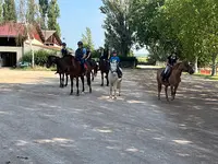 Site Equestre la Vendée Ecurie Laporte