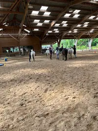 Centre Equestre 91 - Écuries de Trousseau Ris-orangis