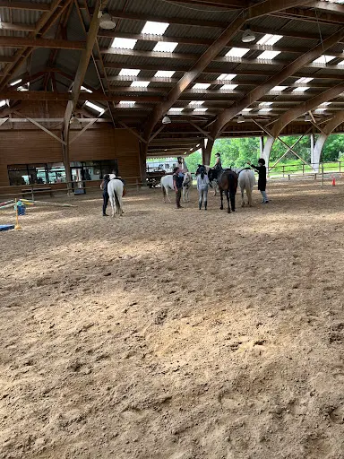 Centre Equestre 91 - Écuries de Trousseau Ris-orangis