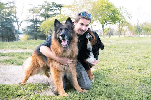 La Patte du Gier - Educateur Canin Comportementaliste