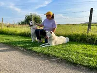 Caninaya - Éducation et Rééducation Canine - Création de Muselières