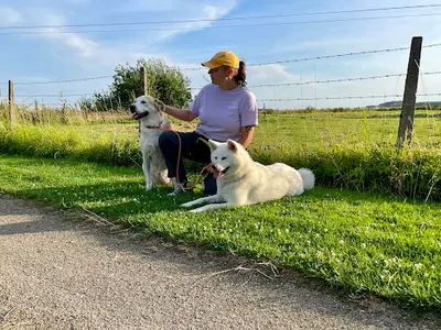 Caninaya - Éducation et Rééducation Canine - Création de Muselières