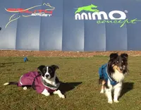 Agility Sport