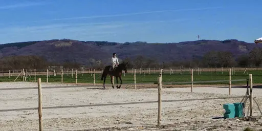 Horse Form Centre de Remise en Forme & Écurie de Propriétaires