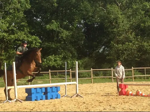 Pension Pour Chevaux Cosmetane