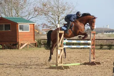 Centre Equestre de la Mairerie