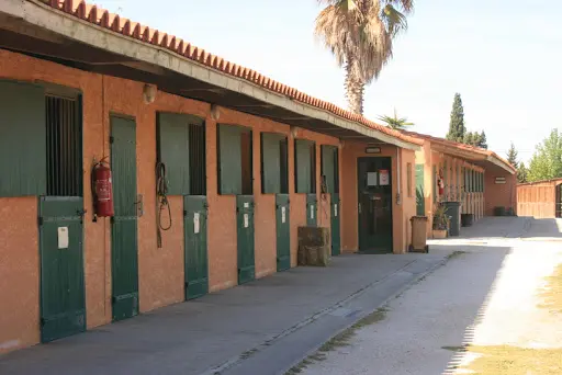 Horses Stop Rivesaltes