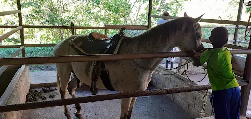 Ranch Trenelle