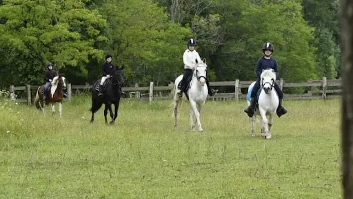 Poney Club Château Perron
