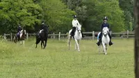 Poney Club Château Perron