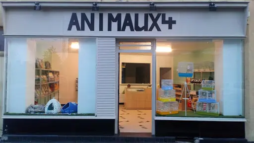 Animaux 4