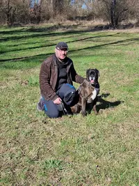 Atout Chiens Éducateur Canin Comportementaliste en Méthode Positive et Éthologique