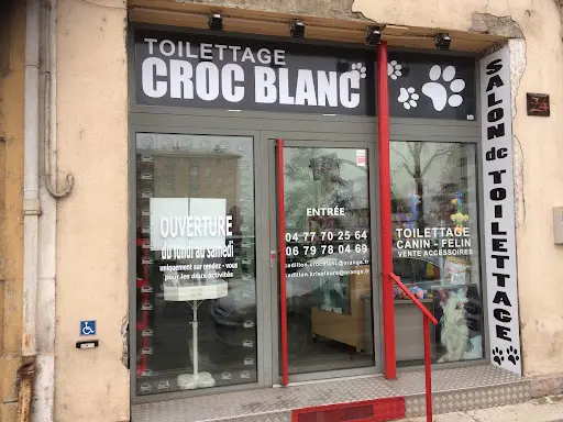 Croc Blanc