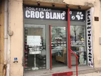 Croc Blanc