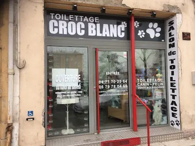 Croc Blanc
