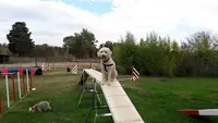 Ecole Canine du Luberon