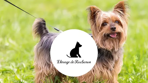 Elevage de Rocbaron