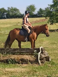 Ô Cheval