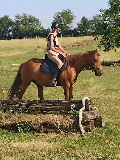 Ô Cheval
