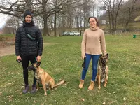 Baudet Rémy - Éducateur Canin