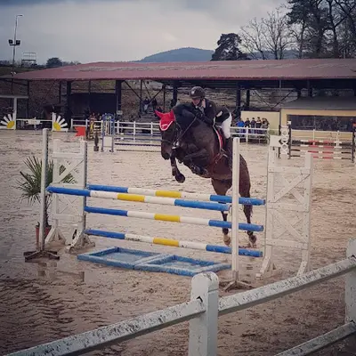Bessy Equitation Sarl