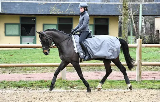 Haras du Lin Rouge - Nina Vial Cavaliere et Instructrice d'Équitation