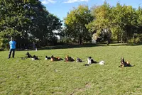 C.a Pro Canin