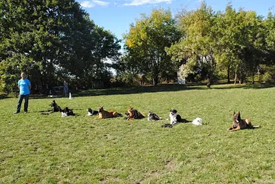 C.a Pro Canin