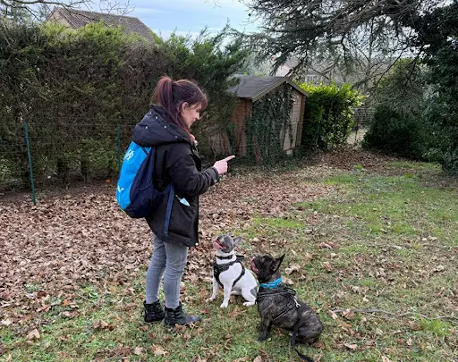 Phoenix Dog Éducateur Canin Poitiers et Alentours