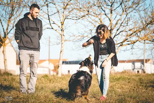 Romuald Deschodt Educateur Canin Comportementaliste Poitiers 86
