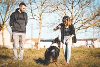 Romuald Deschodt Educateur Canin Comportementaliste Poitiers 86