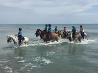 Les Poneys de Fermenas, Centre Équestre, Ballade en Poney, Attelage et Cours d'Équitation