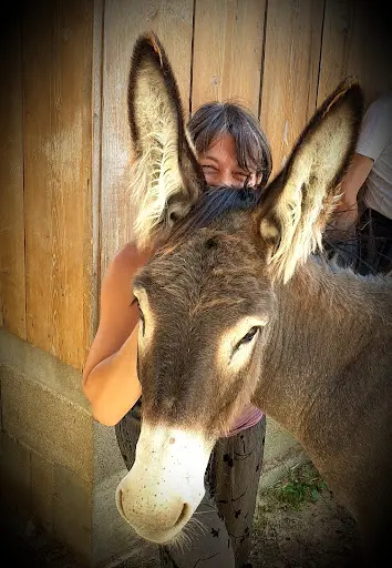 Médiation Animale Laetitia Cabaud