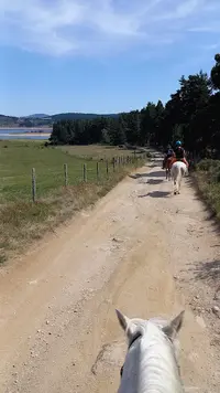 Les Ecuries de Palhères