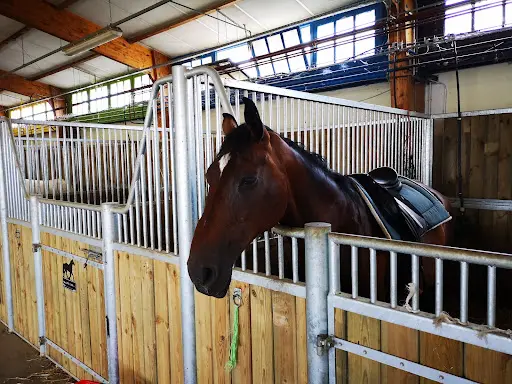 Le Haras des Ouches, Centre Équestre du Carré Médicis