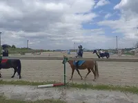 Haras de Prat